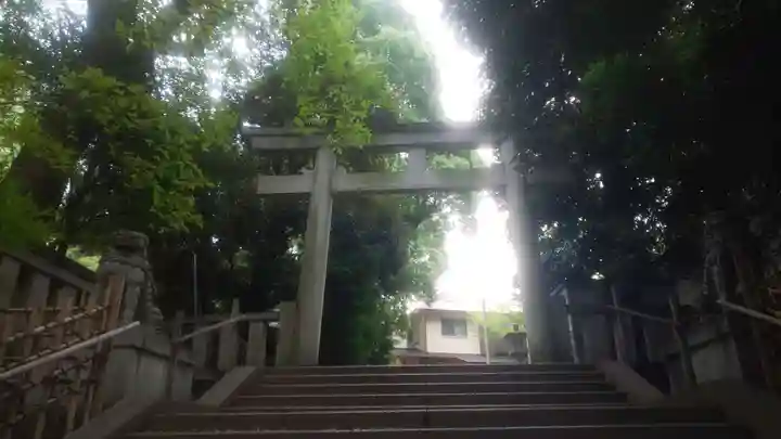 渋谷氷川神社(東京都)