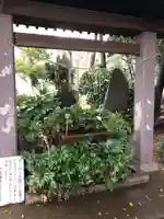 日枝神社の手水舎