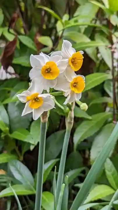 惠心院(京都府)