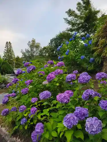 本光寺(愛知県)