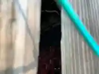 大鳥居神社(千葉県)