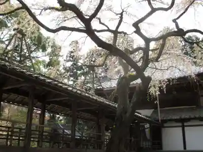十輪寺のその他建物