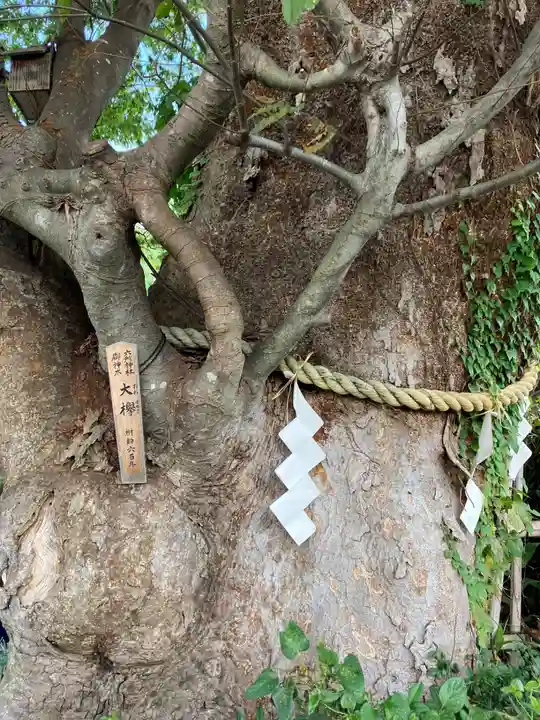 相模国総社六所神社(神奈川県)