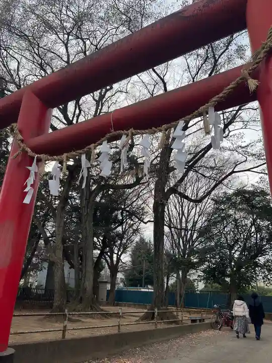 本太氷川神社(埼玉県)