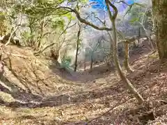 大山阿夫利神社の周辺