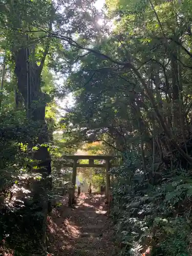 麻賀多神社の鳥居