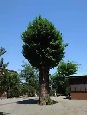 神山神社(神奈川県)