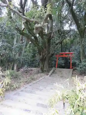 天武神社の自然