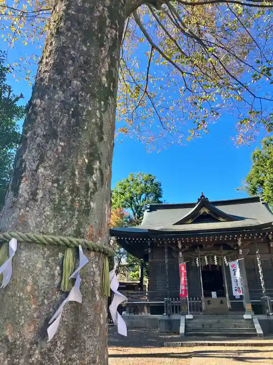 青渭神社(東京都)