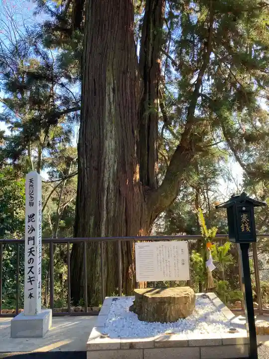 大岩山 最勝寺(栃木県)