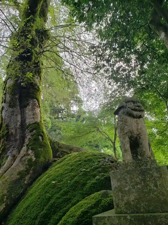宮島神社の狛犬