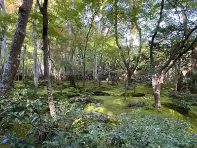 祇王寺(京都府)