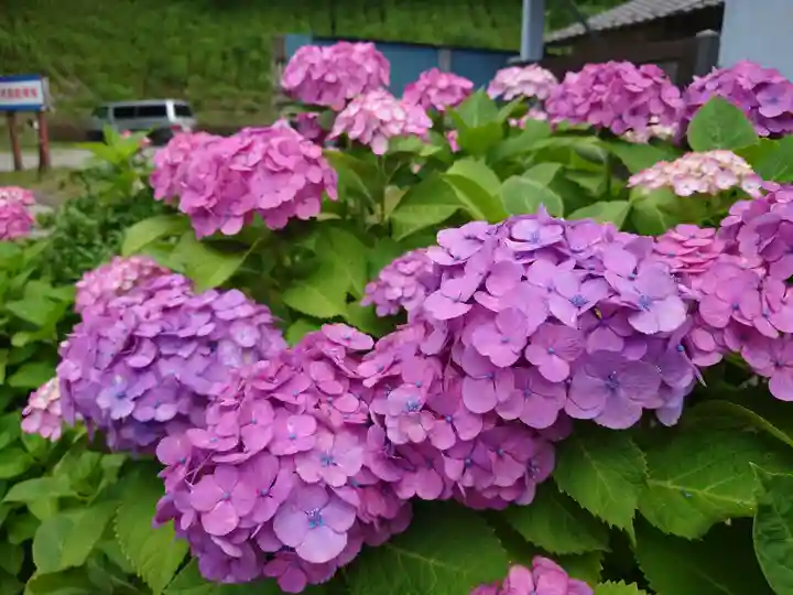 神明社(千葉県)