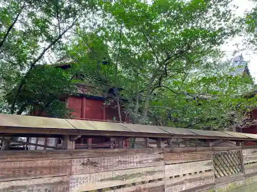 椋神社の本殿