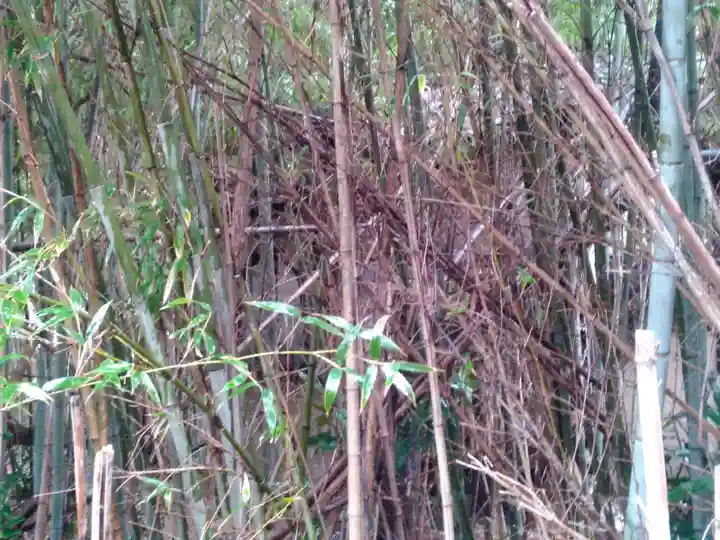 普春院の本殿・本堂