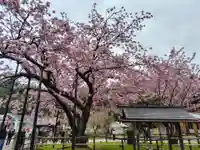 春日神社の御朱印