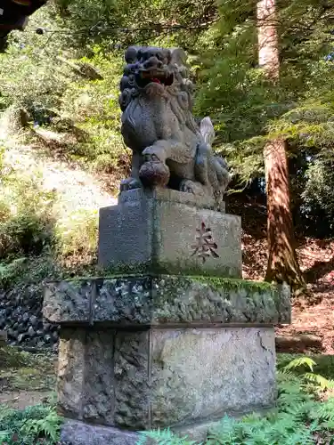 小山田白山神社の狛犬