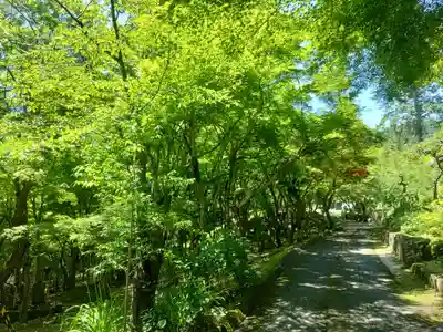 長安寺(京都府)