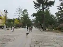 東大寺の建物その他