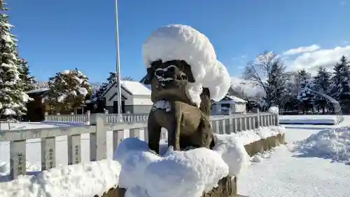 美瑛神社の狛犬