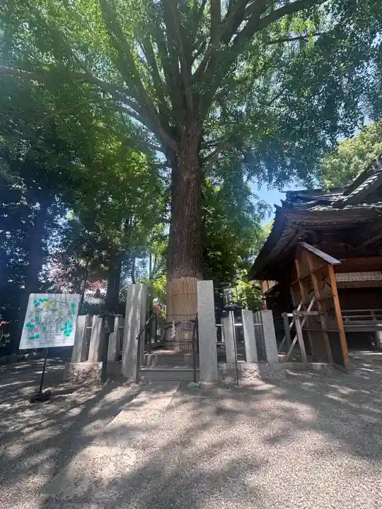 田無神社の{uncategorized: "未分類", other: "その他", undefined: "問題あり", building: "その他建物", grave: "お墓", sacred_gate: "鳥居", guardian: "狛犬", statue: "像", buddha: "仏像", history: "歴史", nature: "自然", garden: "庭園", animal: "動物", pagoda: "塔", temizu: "手水舎", mountain_gate: "山門・神門", sanctuary: "本殿・本堂", subordinate: "末社・摂社", art: "芸術", scenery: "景色", jizo: "地蔵", ema: "絵馬", goshuin: "御朱印", omikuji: "おみくじ", items: "授与品その他", amulet: "お守り", goshuincho: "御朱印帳", eats: "食事", festival: "お祭り", votive_dance: "神楽", shichigosan: "七五三参", wedding: "結婚式", experience: "体験その他", initially: "初詣", around: "周辺", anti_infection: "感染症対策"}
