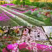 寿量山 速成寺の自然