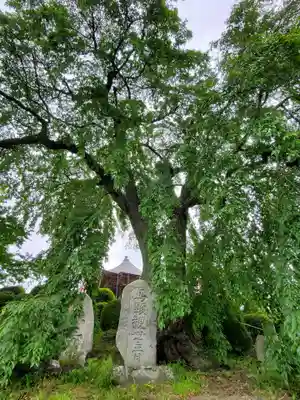 龍光寺(福島県)