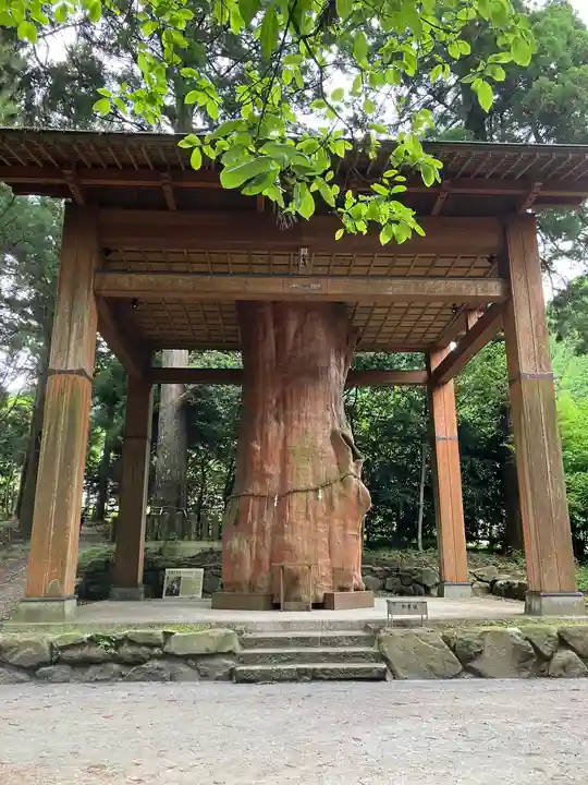 国造神社(熊本県)
