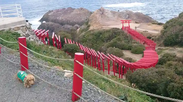 元乃隅神社の{uncategorized: "未分類", other: "その他", undefined: "問題あり", building: "その他建物", grave: "お墓", sacred_gate: "鳥居", guardian: "狛犬", statue: "像", buddha: "仏像", history: "歴史", nature: "自然", garden: "庭園", animal: "動物", pagoda: "塔", temizu: "手水舎", mountain_gate: "山門・神門", sanctuary: "本殿・本堂", subordinate: "末社・摂社", art: "芸術", scenery: "景色", jizo: "地蔵", ema: "絵馬", goshuin: "御朱印", omikuji: "おみくじ", items: "授与品その他", amulet: "お守り", goshuincho: "御朱印帳", eats: "食事", festival: "お祭り", votive_dance: "神楽", shichigosan: "七五三参", wedding: "結婚式", experience: "体験その他", initially: "初詣", around: "周辺", anti_infection: "感染症対策"}