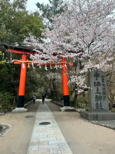 宇治上神社の{uncategorized: "未分類", other: "その他", undefined: "問題あり", building: "その他建物", grave: "お墓", sacred_gate: "鳥居", guardian: "狛犬", statue: "像", buddha: "仏像", history: "歴史", nature: "自然", garden: "庭園", animal: "動物", pagoda: "塔", temizu: "手水舎", mountain_gate: "山門・神門", sanctuary: "本殿・本堂", subordinate: "末社・摂社", art: "芸術", scenery: "景色", jizo: "地蔵", ema: "絵馬", goshuin: "御朱印", omikuji: "おみくじ", items: "授与品その他", amulet: "お守り", goshuincho: "御朱印帳", eats: "食事", festival: "お祭り", votive_dance: "神楽", shichigosan: "七五三参", wedding: "結婚式", experience: "体験その他", initially: "初詣", around: "周辺", anti_infection: "感染症対策"}