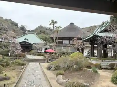 海蔵寺(神奈川県)