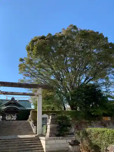 別雷皇太神の鳥居