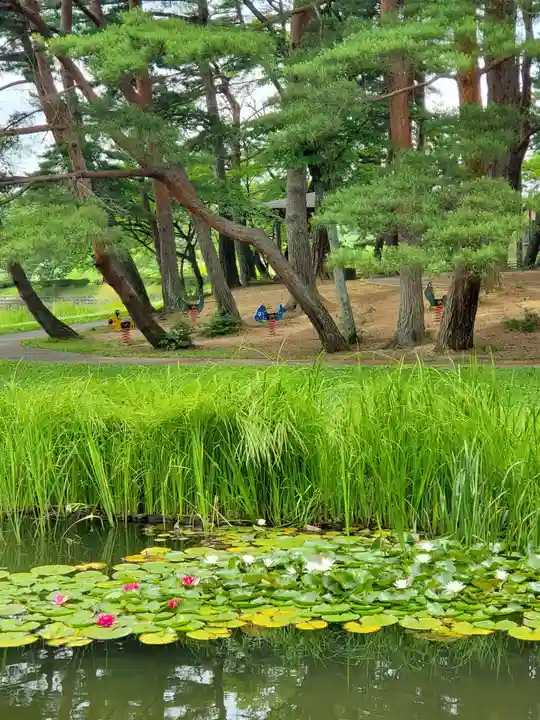 三光稲荷神社の自然