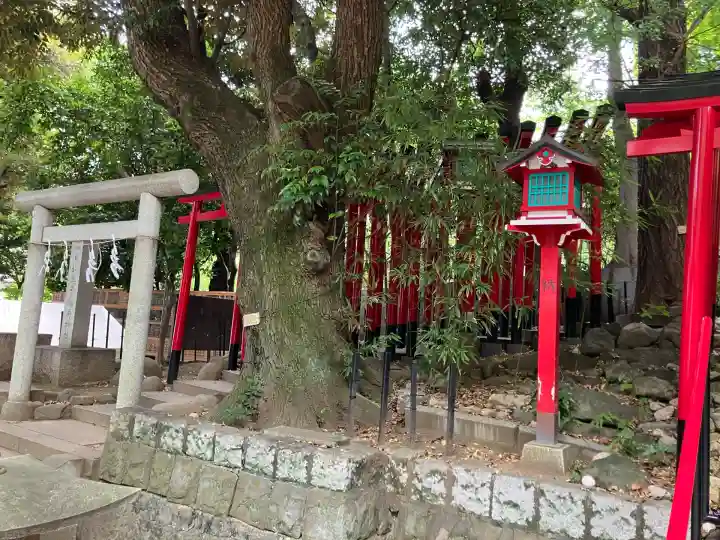 赤坂王子稲荷神社(東京都)
