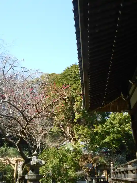 安國論寺(安国論寺)の景色