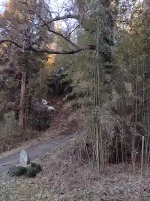 八龍神社(塩ノ貝)(宮城県)