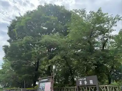 喜多院(埼玉県)