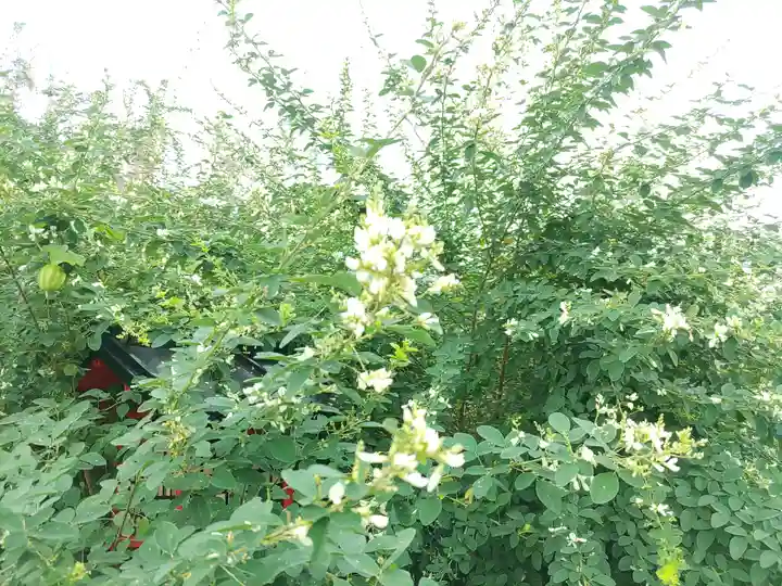 寺岡山元三大師(栃木県)