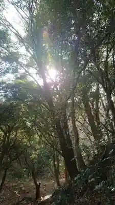 白山神社の周辺