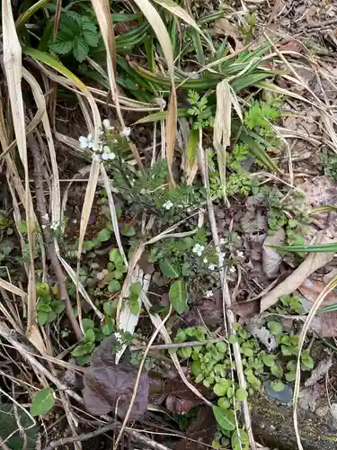 尾張冨士大宮浅間神社(愛知県)