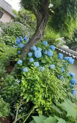 遍照院(東京都)