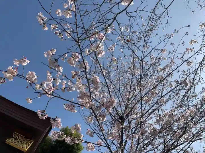 三輪神社の自然