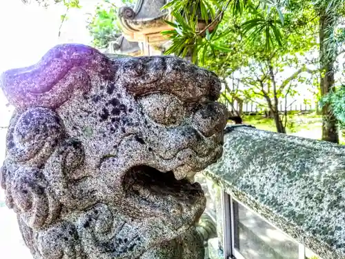 八幡神社（遠島八幡神社）の狛犬