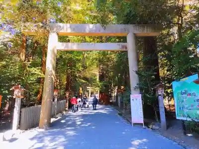 椿大神社の鳥居