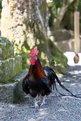 石上神宮(奈良県)