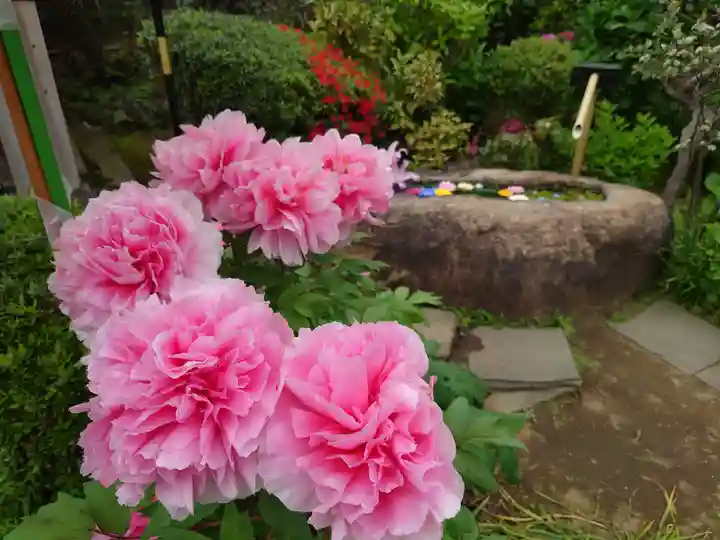 一乗寺(東京都)