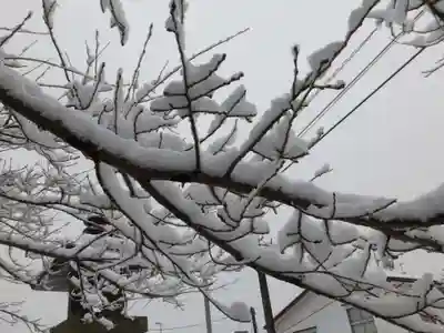 徳佐八幡宮(山口県)