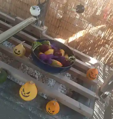 清瀧神社(千葉県)