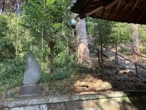 梶原御霊神社(神奈川県)