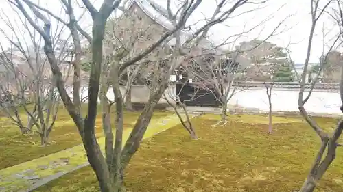 妙覺寺（妙覚寺）の庭園